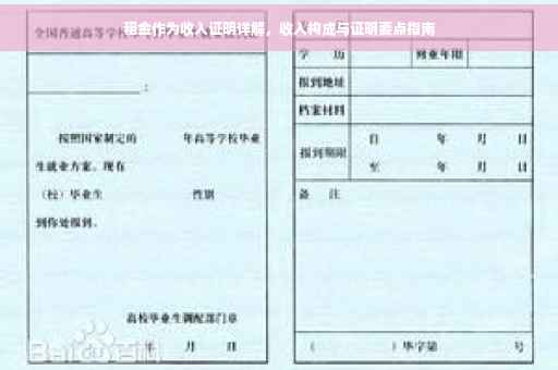 租金作为收入证明详解，收入构成与证明要点指南