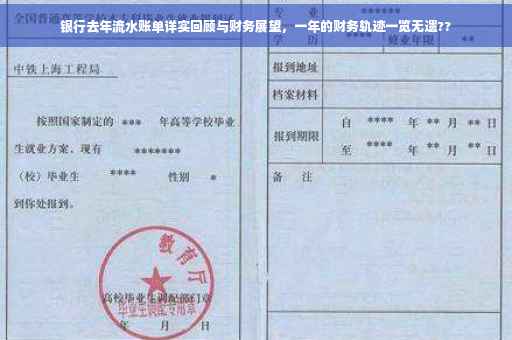 银行去年流水账单详实回顾与财务展望，一年的财务轨迹一览无遗??
