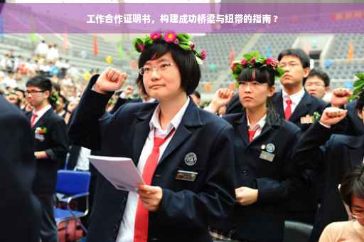 工作合作证明书，构建成功桥梁与纽带的指南 ?