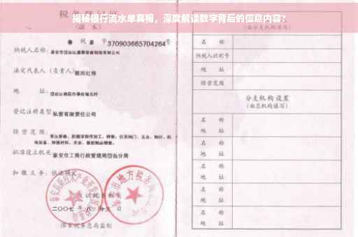 揭秘银行流水单真相，深度解读数字背后的信息内容?