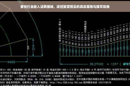餐饮行业收入证明揭秘，透视繁荣背后的真实面貌与撰写指南