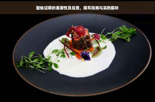 取物证明的重要性及应用，撰写指南与实例解析