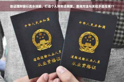 签证理财银行流水详解，打造个人财务透明度，查询方法与关键步骤指南??