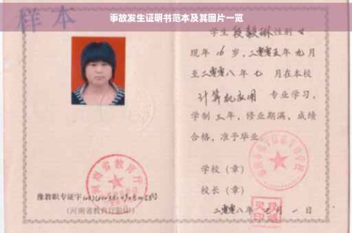 事故发生证明书范本及其图片一览