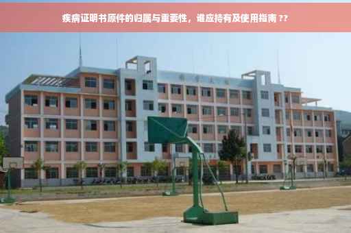 疾病证明书原件的归属与重要性，谁应持有及使用指南 ??