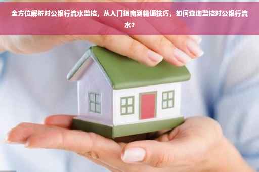 全方位解析对公银行流水监控，从入门指南到精通技巧，如何查询监控对公银行流水？