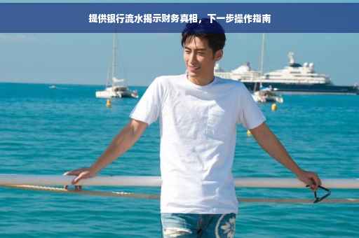 提供银行流水揭示财务真相，下一步操作指南