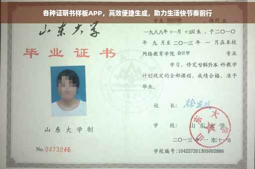 各种证明书样板APP，高效便捷生成，助力生活快节奏前行