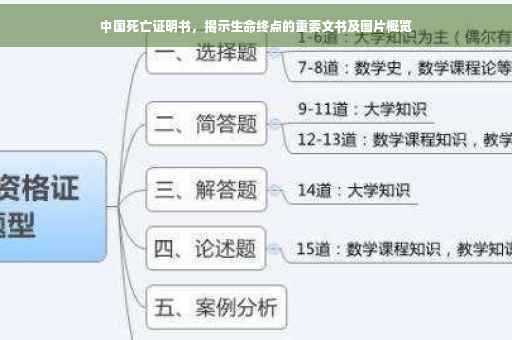 中国死亡证明书，揭示生命终点的重要文书及图片概览
