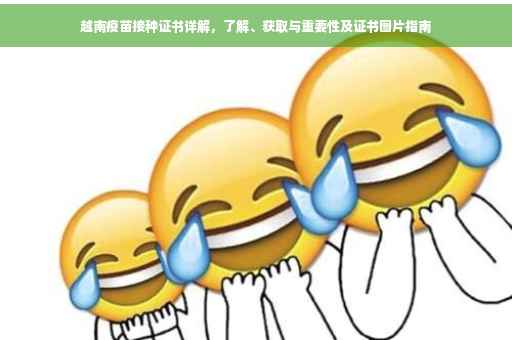 越南疫苗接种证书详解，了解、获取与重要性及证书图片指南