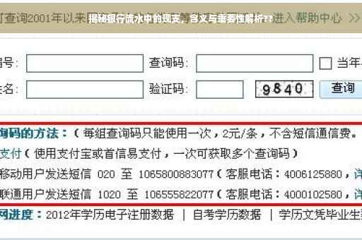 揭秘银行流水中的现支，含义与重要性解析??
