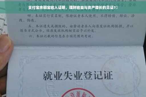 支付宝余额宝收入证明，理财收益与资产增长的见证?✨