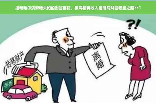 揭秘哈尔滨奔驰夫妇的财富密码，探寻精英收入证明与财富积累之路??✨