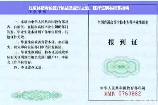 过敏体质者的医疗挑战及应对之道，医疗证明书撰写指南