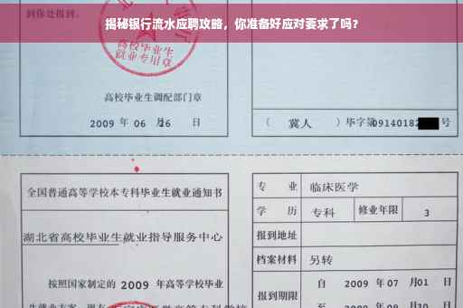 揭秘银行流水应聘攻略，你准备好应对要求了吗？