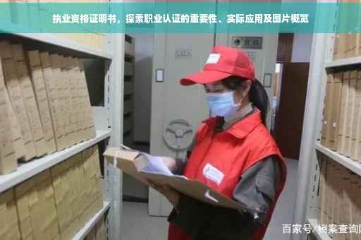 执业资格证明书，探索职业认证的重要性、实际应用及图片概览