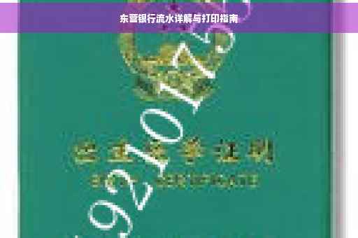 东营银行流水详解与打印指南