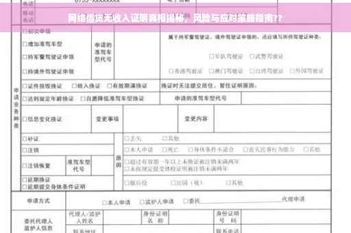 网络借贷无收入证明真相揭秘，风险与应对策略指南??