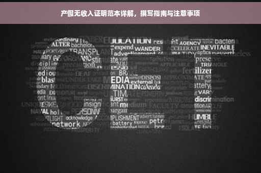 产假无收入证明范本详解，撰写指南与注意事项