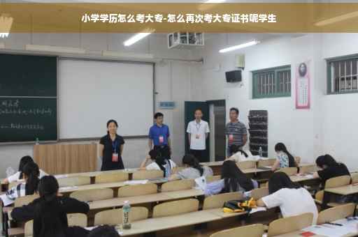 小学学历怎么考大专-怎么再次考大专证书呢学生