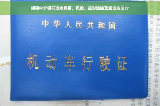 揭秘中介银行流水真相，风险、应对策略及查询方法??