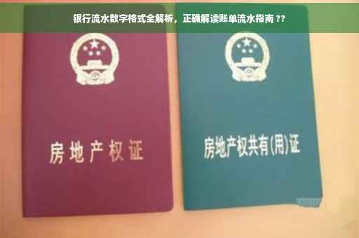 银行流水数字格式全解析，正确解读账单流水指南 ??