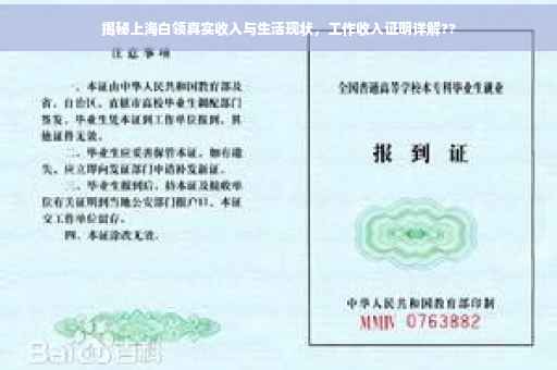 揭秘上海白领真实收入与生活现状，工作收入证明详解??