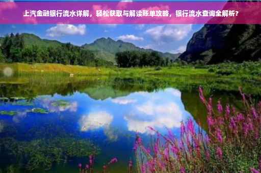 上汽金融银行流水详解，轻松获取与解读账单攻略，银行流水查询全解析?