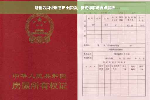 聘用合同证明书护士解读，格式详解与要点解析