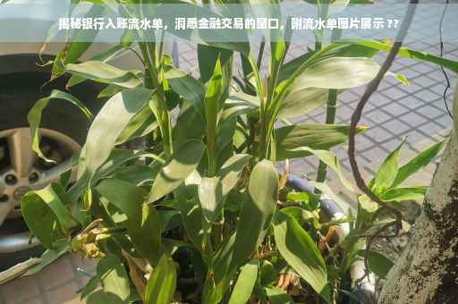 揭秘银行入账流水单，洞悉金融交易的窗口，附流水单图片展示 ??