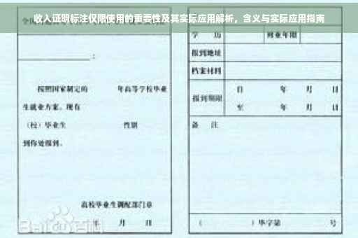 收入证明标注仅限使用的重要性及其实际应用解析，含义与实际应用指南
