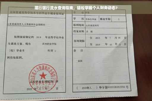 建行银行流水查询指南，轻松掌握个人财务动态?