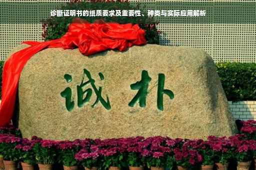 诊断证明书的纸质要求及重要性、种类与实际应用解析