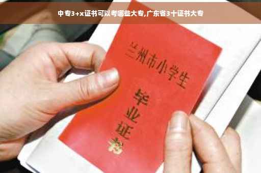 中专3+x证书可以考哪些大专,广东省3十证书大专