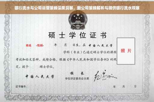 银行流水与公司运营策略深度洞察，新公司策略解析与提供银行流水观察