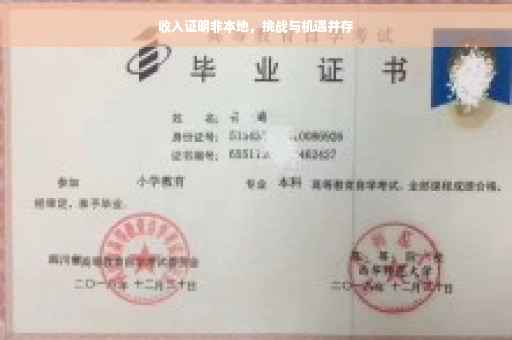 收入证明非本地，挑战与机遇并存