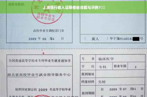 上海银行收入证明模板详解与示例?⚡️