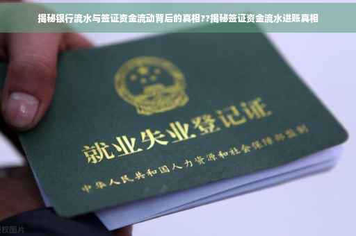 揭秘银行流水与签证资金流动背后的真相??揭秘签证资金流水进账真相