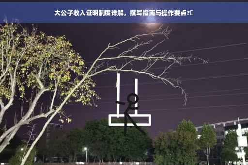 大公子收入证明制度详解，撰写指南与操作要点?✨