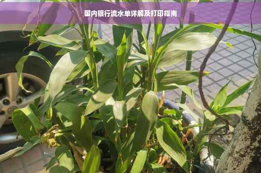 国内银行流水单详解及打印指南