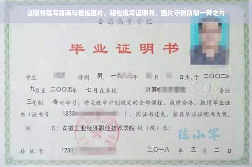 证明书撰写指南与模板图片，轻松撰写证明书，图片示例助您一臂之力