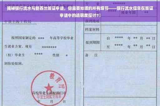 揭秘银行流水与新西兰签证申请，你需要知道的所有细节——银行流水信息在签证申请中的透明度探讨?✨