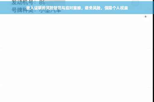 收入证明的风险防范与应对策略，避免风险，保障个人权益