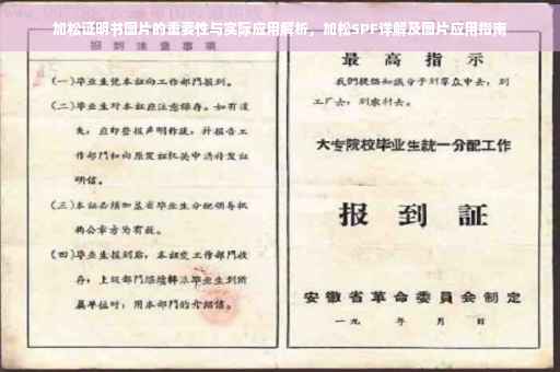 加松证明书图片的重要性与实际应用解析，加松SPF详解及图片应用指南