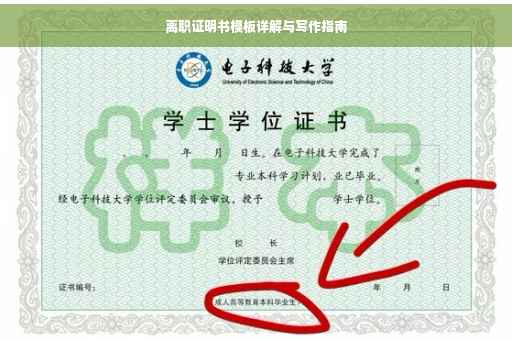 离职证明书模板详解与写作指南