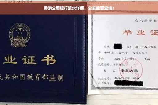 香港公司银行流水详解，公安能否查询？