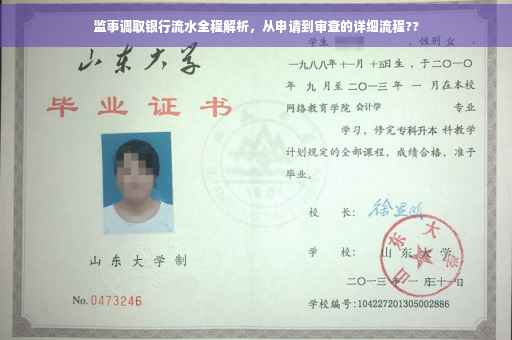 监事调取银行流水全程解析，从申请到审查的详细流程??