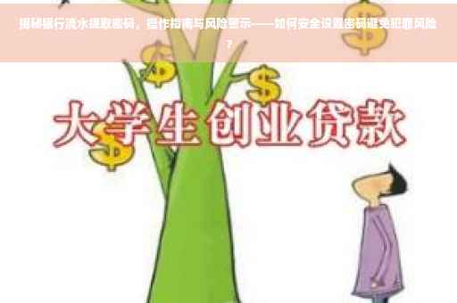 揭秘银行流水提取密码，操作指南与风险警示——如何安全设置密码避免犯罪风险？