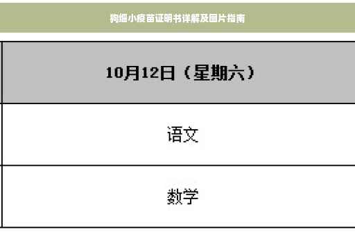 狗细小疫苗证明书详解及图片指南