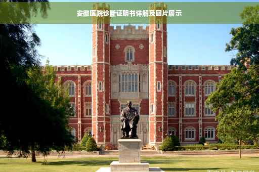 安徽医院诊断证明书详解及图片展示